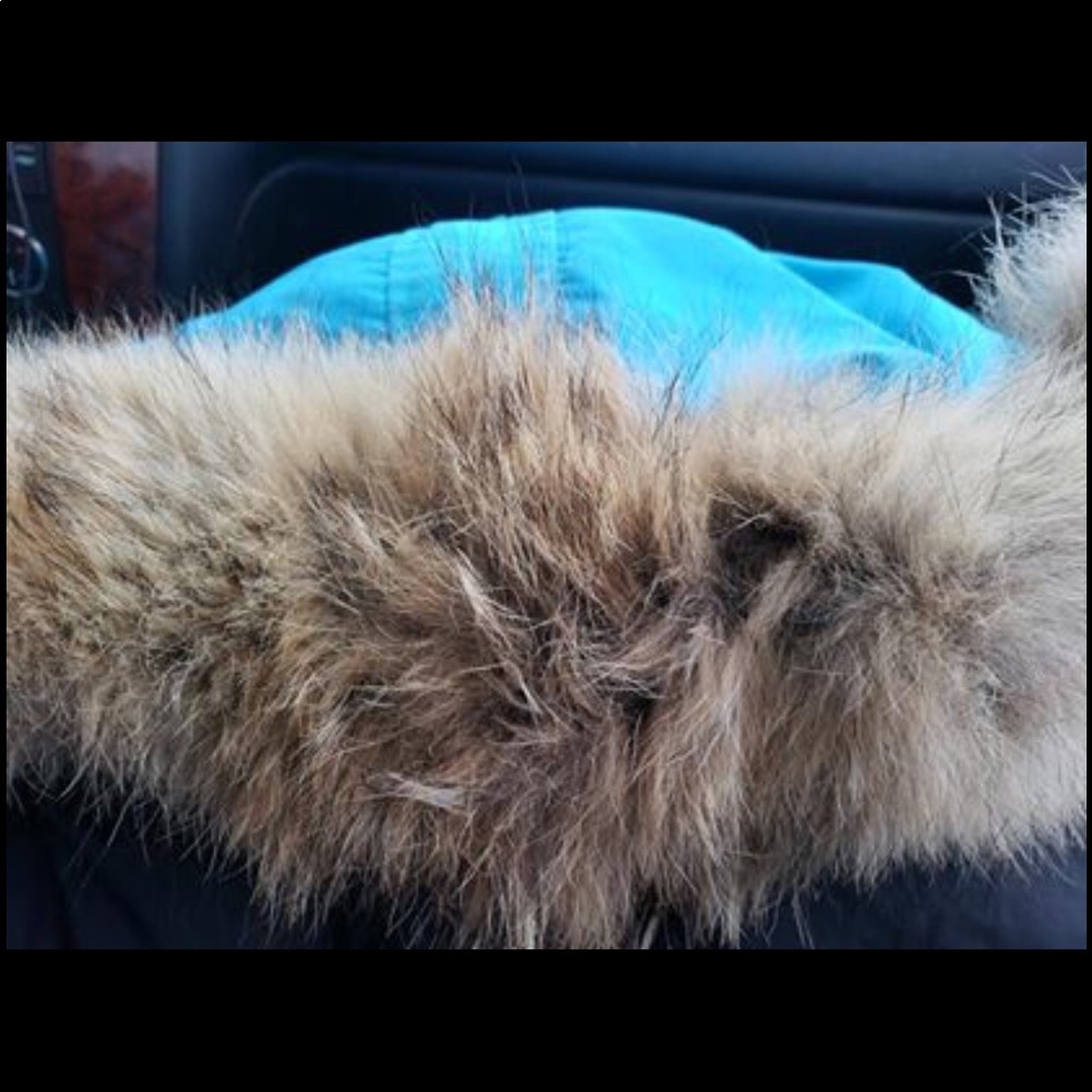 Small Chilliwack Canadian goose Winter coat